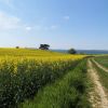 Wiesenweg