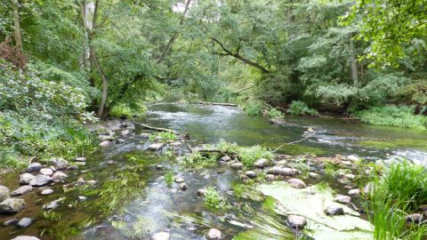 Warnowdurchbruchstal Groß Görnow 