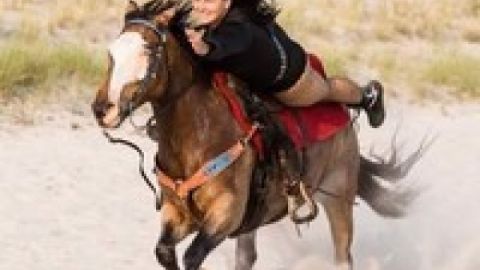 Action-Show mit Pferden