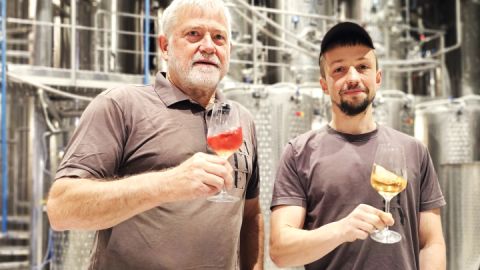 Weingut Schloss Rattey