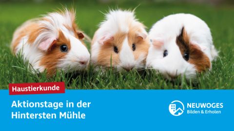 neuw-konzern_externe-komm_tierheim_aktionstage-24-haustierkunde_1