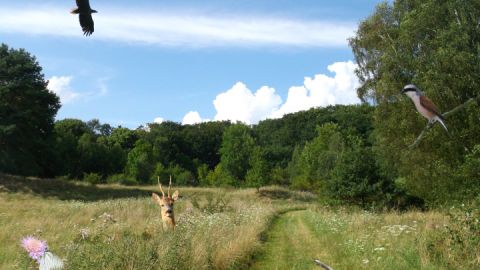 naturwanderung_hoeffgen