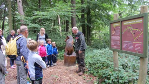 Forstamt führt durch den Wald