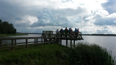 Aussichtsplattform am Galenbecker See