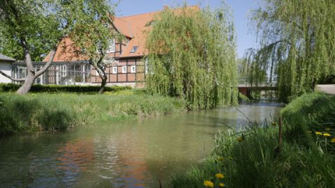 Natur-Museum Goldberg - Garten