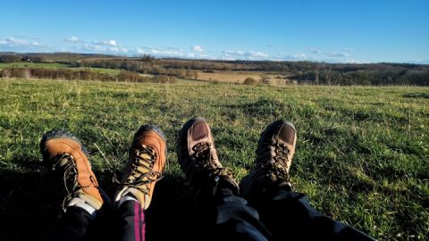 Panormablick vom Wanderweg zum Hohen Holz