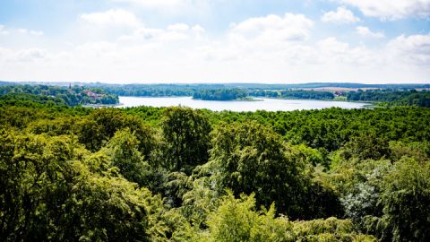 Aussicht vom Aussichtsturm