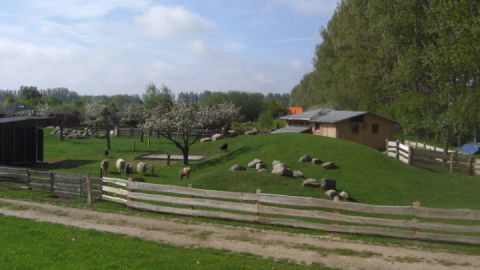 bilder-allgemein-2010-017