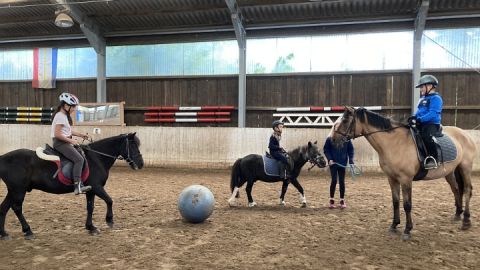 Pferdefußball in der Reithalle