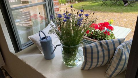 Blick in den Garten
