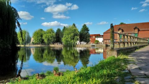 Blick über den Mühlenteich