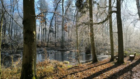 Hertha-See im Hohen Holz