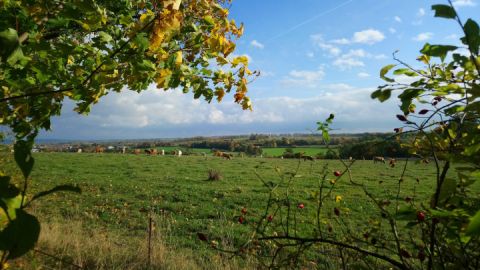 Ausblick vom Wanderweg zum Hohen Holz