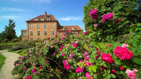 gottin-gutshaus-rosenpark