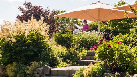 terrasse-im-sommer_980x553