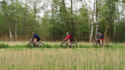 Mit dem Gravelbike unterwegs im Müritz Nationalpark