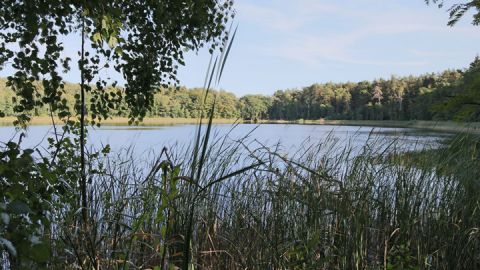 Bergsee