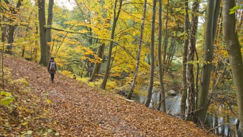 Entlang der Peene auf der Tagestour 1 auf der Wandertour Malchiner Becken Sterntouren