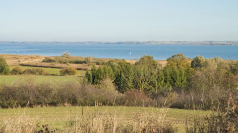 Tagestour 3 - Blick auf den Kummerower See auf der Wandertour Malchiner Becken Sterntouren