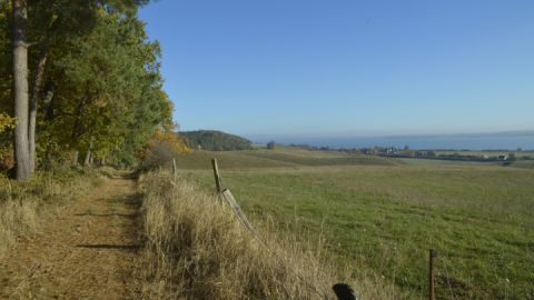 Tagestour-3 auf der Wandertour Malchiner Becken Sterntouren