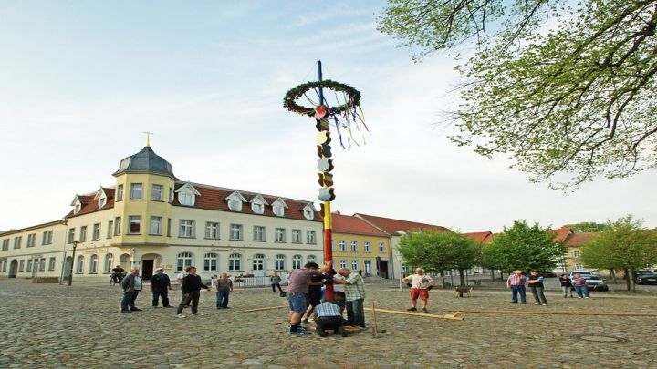 Maibaum Wesenberg