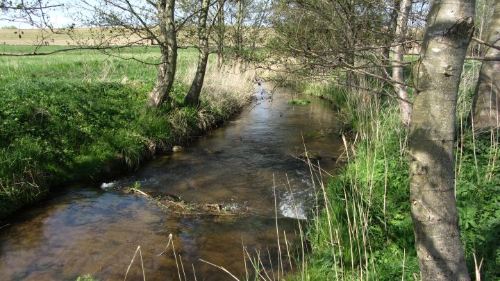 26-04-18 Wanderung zum Malchiner See, GMZ