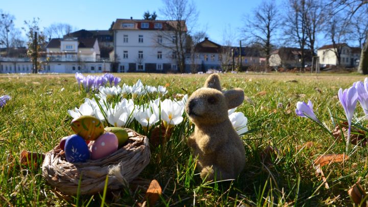 Ostern im Feldberger Kurpark
