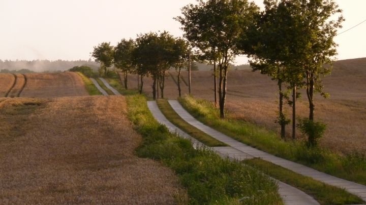 pohnstorf_weg_soesemann