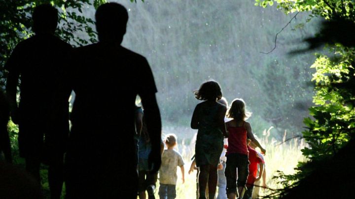 030 Bildergalerie - Programm Waldwanderung 030 Bildergalerie - Programm Waldwanderung