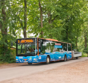 Bus