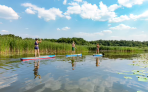 Auf dem Wasser