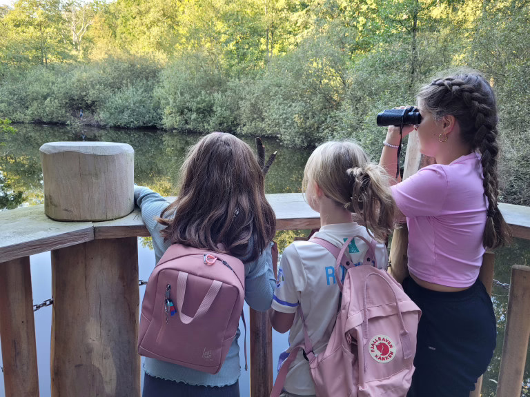 Blick ins moor foto julia gnodtke