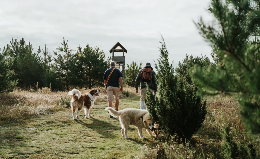 Urlaub mit Hund in der Mecklenburgischen Schweiz